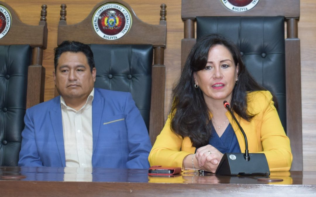 TRIBUNAL CONSTITUCIONAL CONFIRMA EXCLUSIÓN DE ADN Y PÉRDIDA DE PERSONERÍA LEGAL