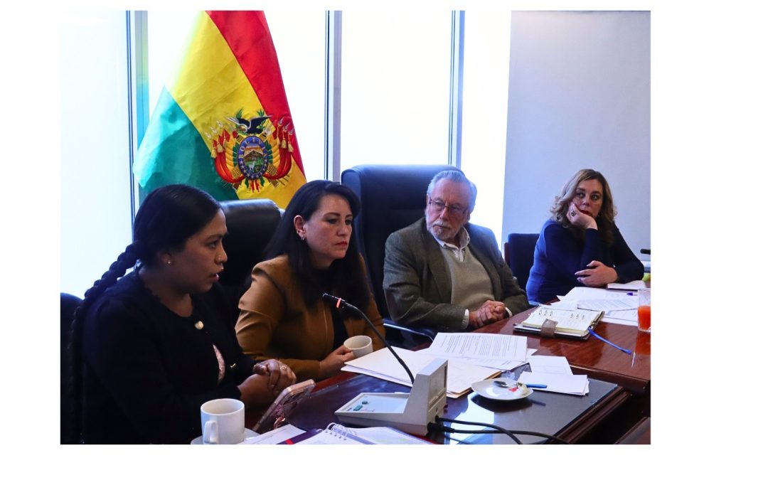 COMISIÓN DE CONSTITUCIÓN APRUEBA LEY TRANSITORIA PARA FUNCIONAMIENTO TEMPORAL DEL TCP Y TSJ