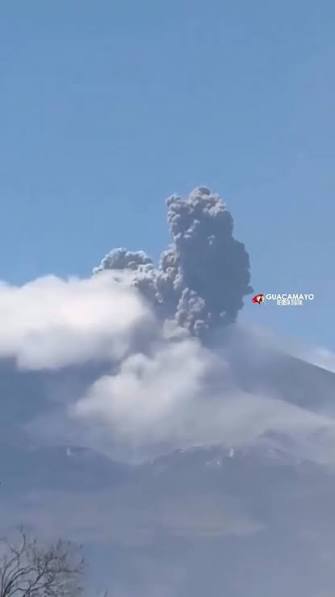 IMG-20260810-WA0116
