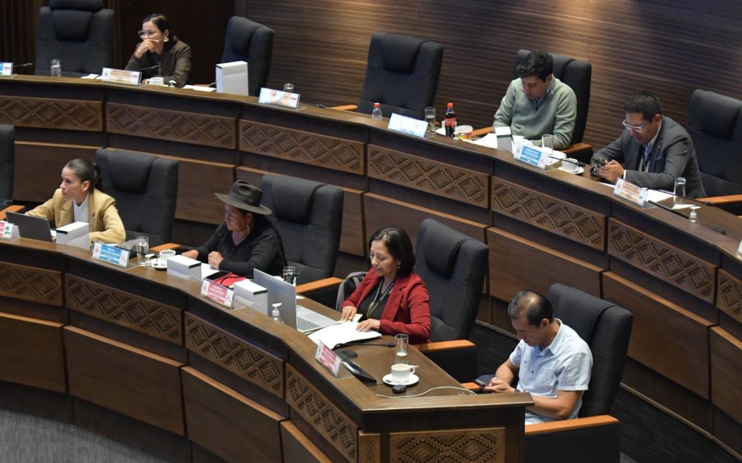 SENADO APRUEBA CRÉDITO DE $US 200 MILLONES PARA EL BONO PEPÉ QUE DEBÍA PAGARSE CON AHORROS DEL DIÉSEL