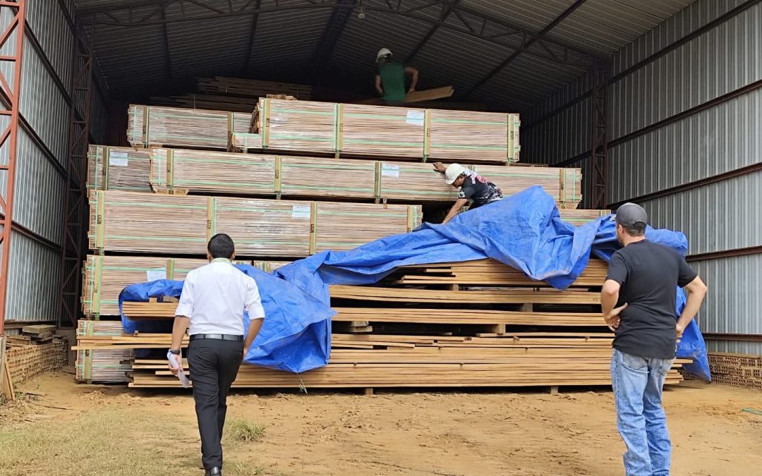 CHILE FRENA LA QUEMA DE MADERA BOLIVIANA Y PONE EN DUDA PERITAJES